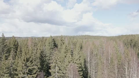 Tree Tops Cloudy Sky Drone Video stock 240321361