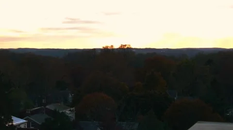 Tree tops at dusk Stock Footage 48332137