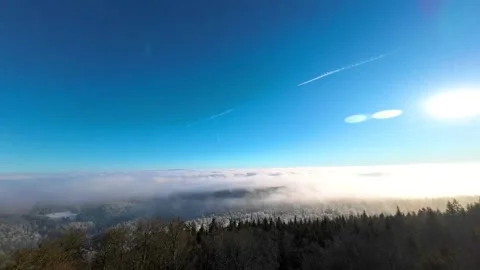 Tree tops in fog in clouds under bright blue sky. Stock Footage 311165197