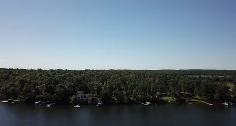 Tree tops Stock Footage 95679673