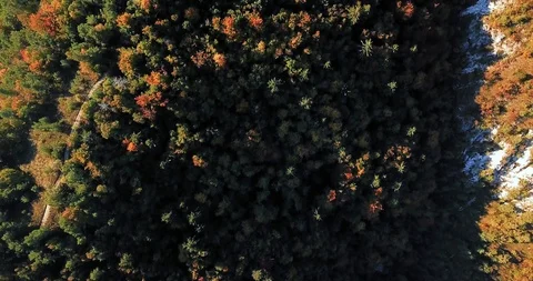 Tree tops hiding a small ridge path in the mountains Stock Footage 112384940