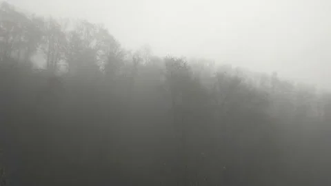 Tree tops on a mountain in the fog. Tree canopies enveloped in the mystical fog. Stock Footage 143166924