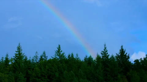 Tree tops rainbow time lapse Stock Footage 44207886