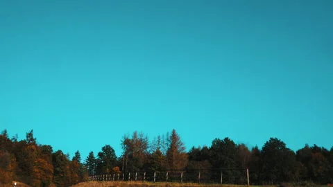 Tree tops with a sky Stock Footage 202050389