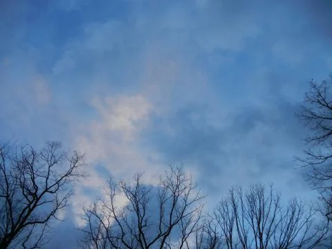 Tree Tops Before the Storm Foto stock