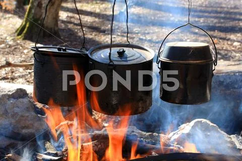 Tree tourists kettle on fire Stock Photos