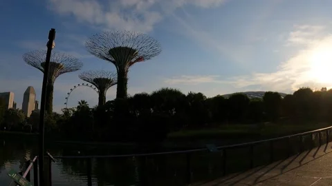 Tree Tower at Sunrise Stock Footage 156653078