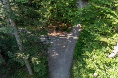 Tree tower, Tree Top Walk, Bavarian Forest National Park, Neuschnau, Bavaria, Stock Photos