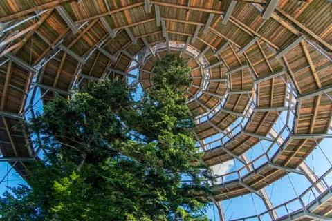 Tree tower, Tree Top Walk, Bavarian Forest National Park, Neuschnau, Bavaria, Stock Photos