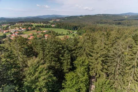 Tree tower, Tree Top Walk, Bavarian Forest National Park, Neuschnau, Bavaria, Stock Photos