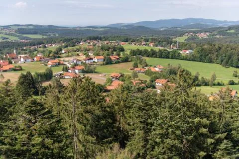 Tree tower, Tree Top Walk, Bavarian Forest National Park, Neuschnau, Bavaria, Stock Photos