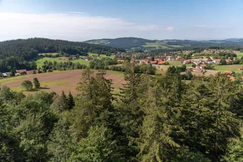 Tree tower, Tree Top Walk, Bavarian Forest National Park, Neuschnau, Bavaria, Stock Photos