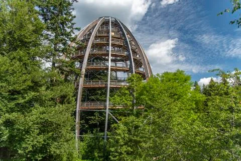 Tree tower, Tree Top Walk, Bavarian Forest National Park, Neuschnau, Bavaria, Stock Photos