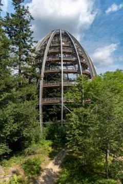 Tree tower, Tree Top Walk, Bavarian Forest National Park, Neuschnau, Bavaria, Stock Photos