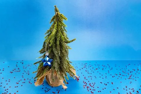 Tree with toy on blue background Stock Photos