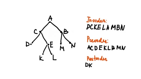 Tree traversals. Discrete mathematics, section trees. Stock Footage 132057912