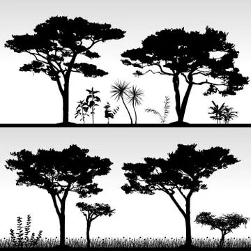 Tree Trees Silhouette Illustrazione stock