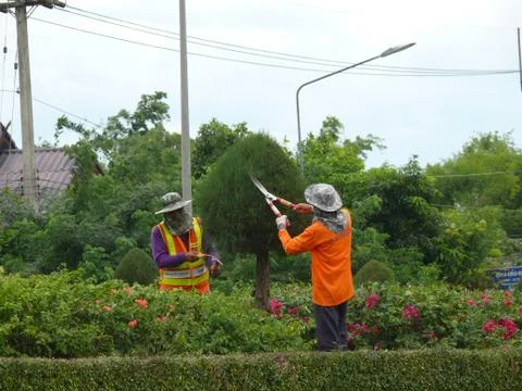 Tree trimmer staff Stock Photos