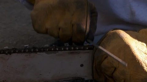 Tree trimmers sharpens his chain saw 스톡 동영상 87993510
