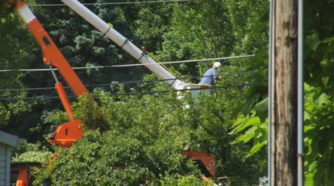 Tree Trimming 1 動画素材 462632