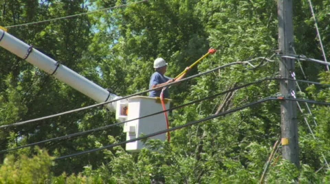 Tree Trimming 2 動画素材 462627