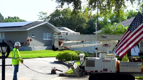 Tree Trimming Equipment - Men Moving Tree Trimming Equipment Stock Footage 169027780