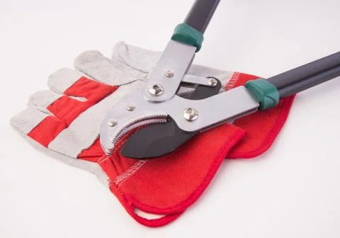 Tree Trimming Stock Photos