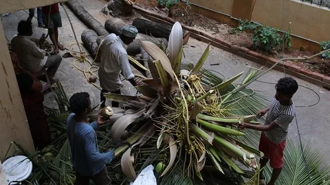 Tree-trimming-powerlines-2 Stock Footage 107699607