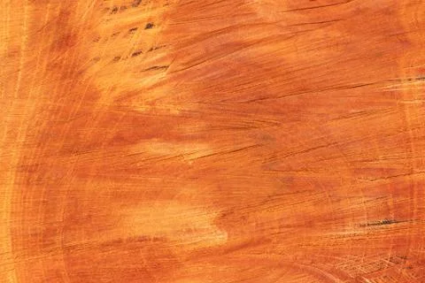Tree trunk after being cut. Wood texture and background. Gangue backdrop. Stock Photos