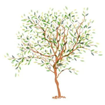 Tree. the trunk and leaves in separate layers. vector illustration, eps10. Stock Illustration