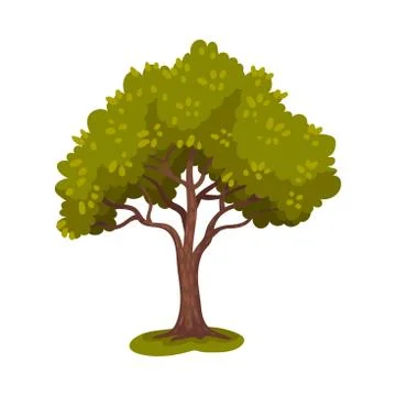 Tree with Trunk and Lush Crown or Foliage as Forest Element Vector Illustration Stock Illustration