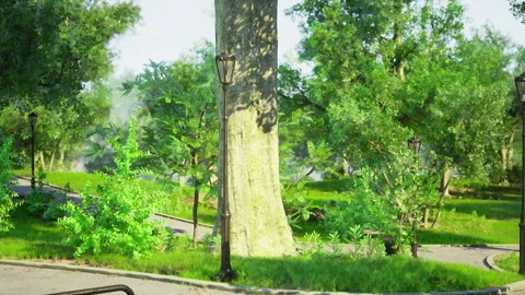 Tree trunk and moss alongside vintage urban lighting structure Stock Footage 340661689