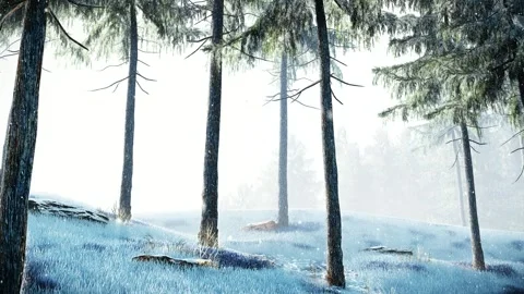 Tree Trunk Background 3D Animation Moving in to the Pine Forest Stock Footage 296148192