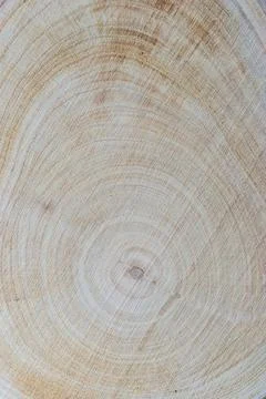 Tree trunk background Stock Photos