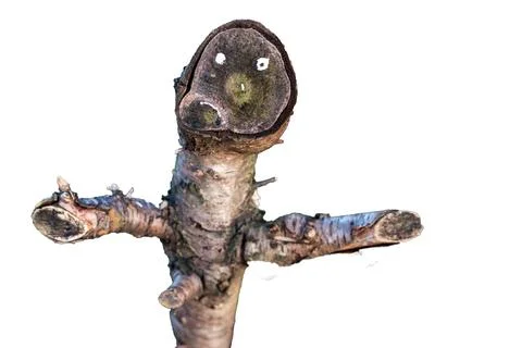 A tree trunk with a badly smiled face Foto stock
