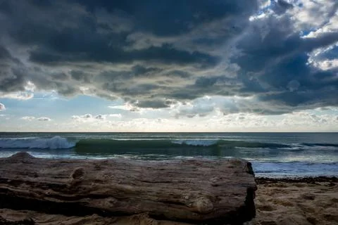Tree trunk on a beach and cloudy seascape at sunset Stock Photos