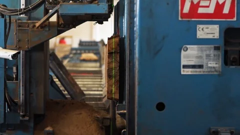 Tree Trunk Being Cut into Planks Machine Details Sawmill Interior Slow motion Vídeo Stock 128491937