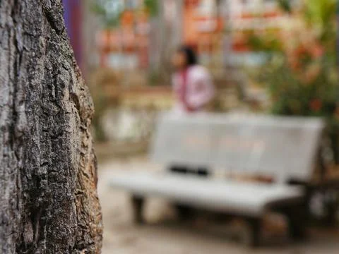 Tree trunk bench blurred partly focused Foto stock