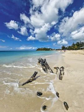 A tree trunk with a Caribbean beach in the background Stock-Fotos