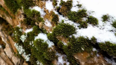 Tree trunk covered with moss and covered with snow. Stock Footage 100611608