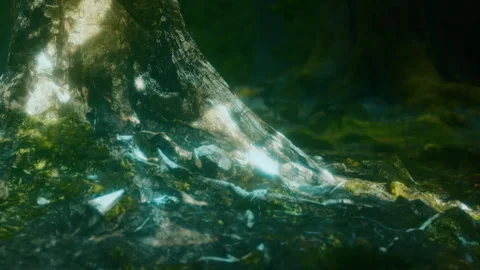 Tree trunk covered with moss and sunlight shining through leaves Stock Footage 340620959