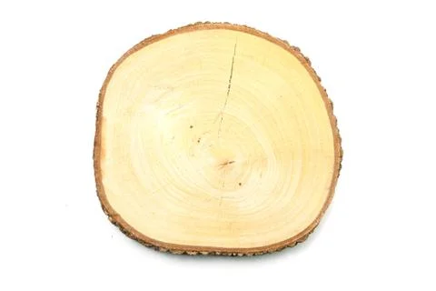 Tree trunk cross isolated on white background Stock Photos