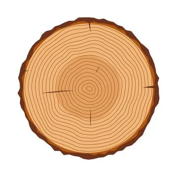 Tree Trunk Cross Section with Growth Rings Vector Illustration Stock Illustration