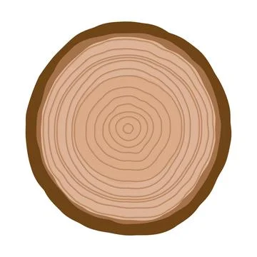 Tree Trunk Cross Section Growth Rings Vector Illustration Illustrazione stock