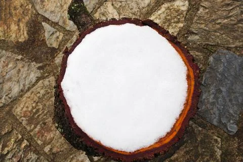 Tree trunk cut with snow on the top. Stock Photos