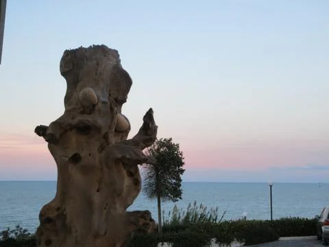 Tree trunk with embedded stones and sea view Stock Photos