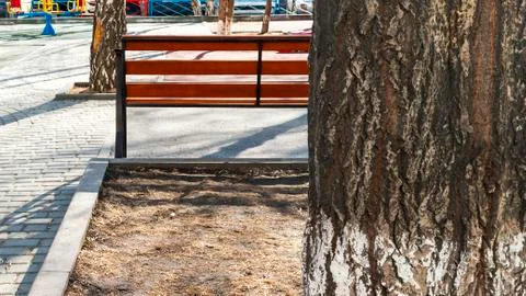 Tree Trunk, Empty Bench at the Paved Kids Playground Area in the Park on a Sp Stock Photos