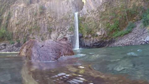 Tree trunk floating on a river in Santiago, Chile Stock-Fotos