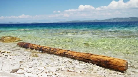 Tree trunk floating in the sea in great weather and blue water Stock Footage 66908862
