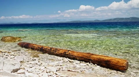 Tree trunk floating in the sea in great weather and blue water Stock Footage 66908863